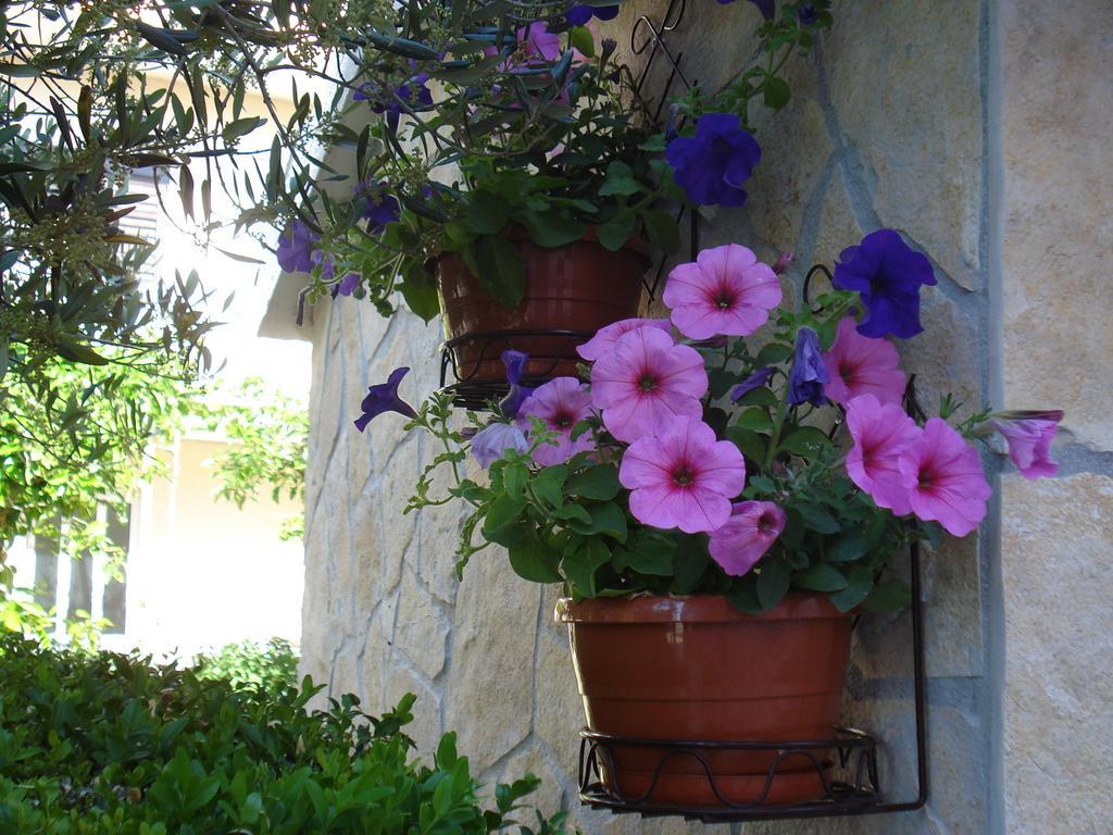 Apartments Villa Lilla Baška Voda Eksteriør bilde